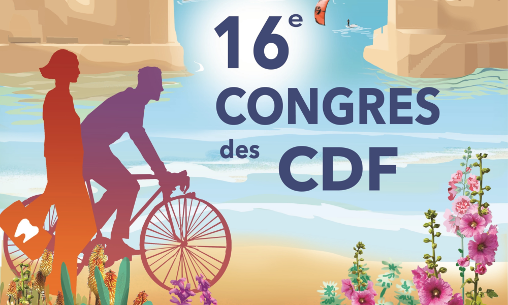 Drapeaux Congrès La Rochelle